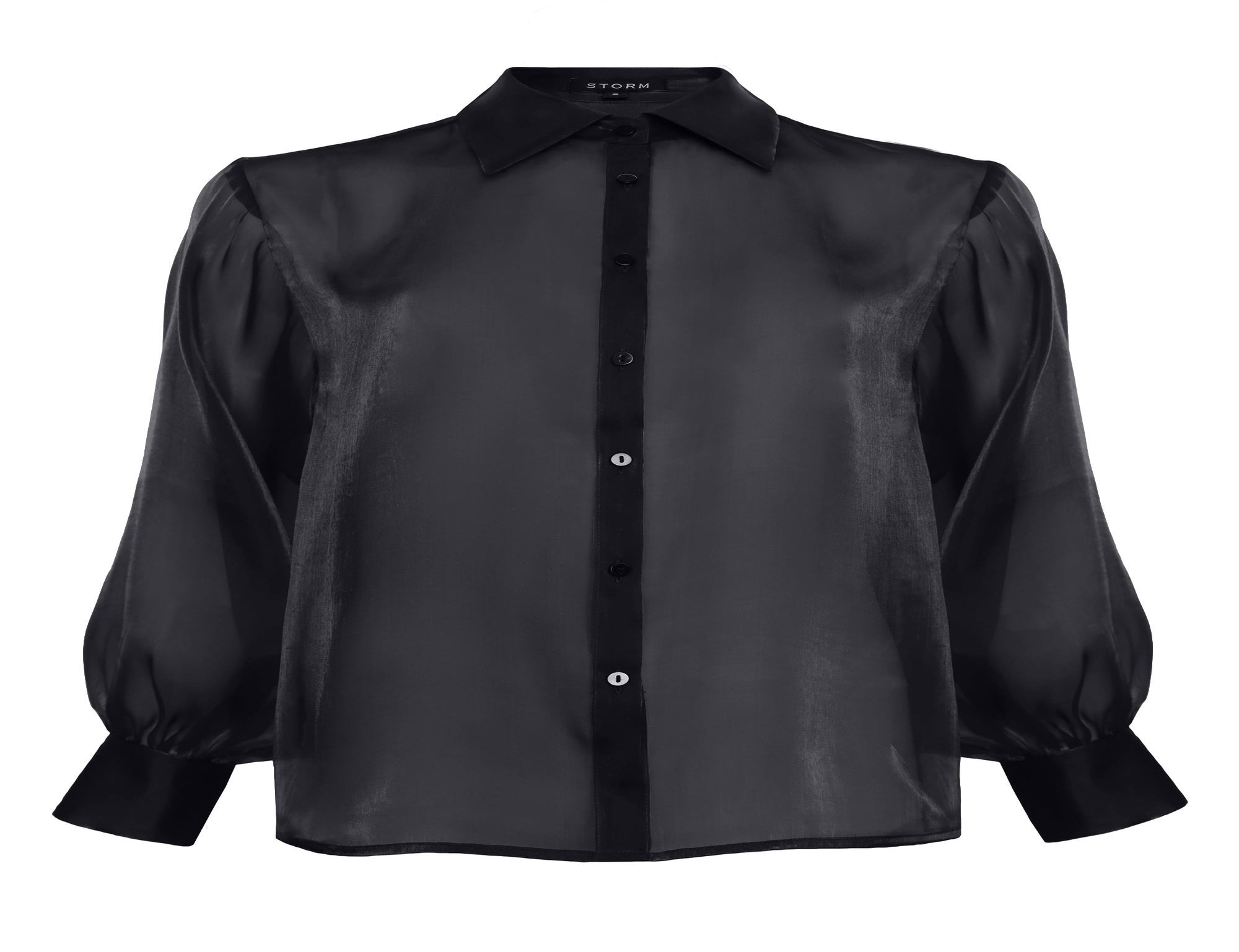 Sheer Organza Shirt